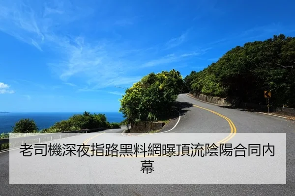 老司機深夜指路黑料網曝頂流陰陽合同內幕