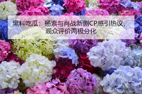 黑料吃瓜：杨紫与肖战新剧CP感引热议，观众评价两极分化